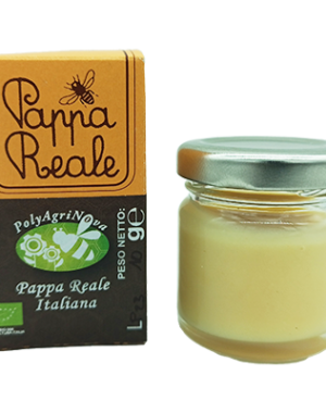 Pappa Reale
