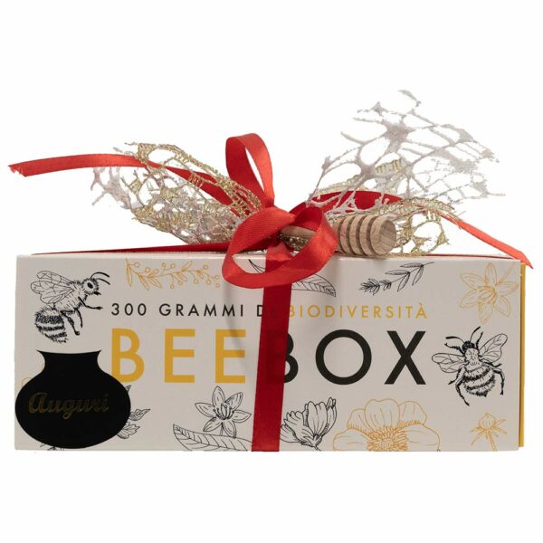 BeeBox - Natale