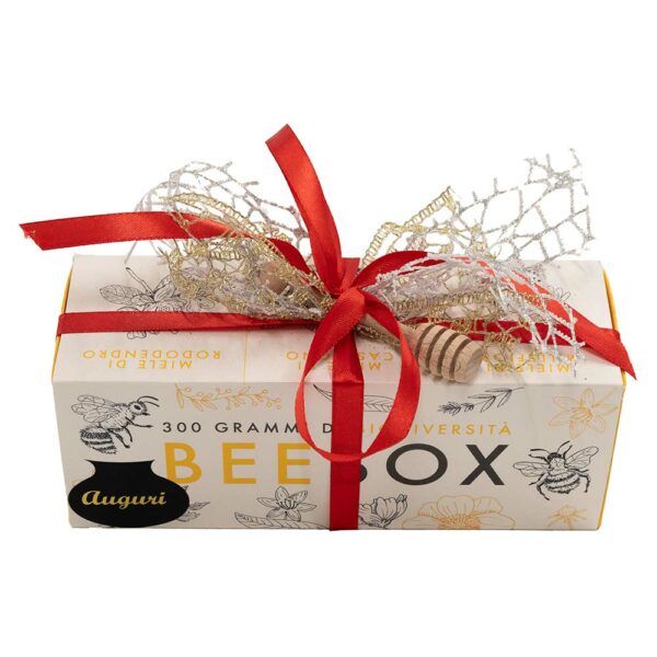 BeeBox - Natale - immagine 2